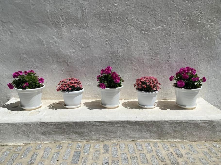 Vila Casa Galeria La Retinta Vejer de la Frontera Exteriér fotografie