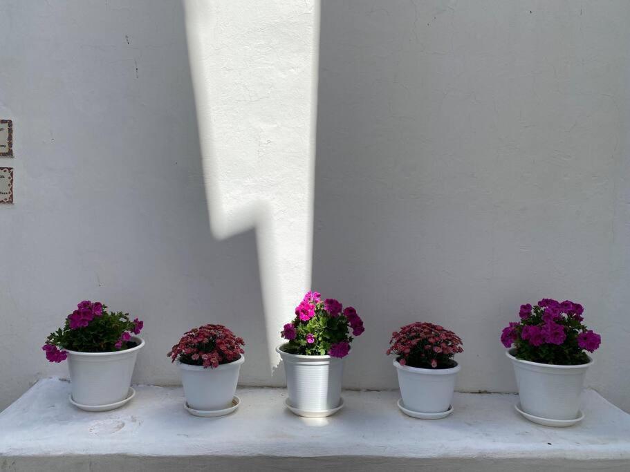 Vila Casa Galeria La Retinta Vejer de la Frontera Exteriér fotografie